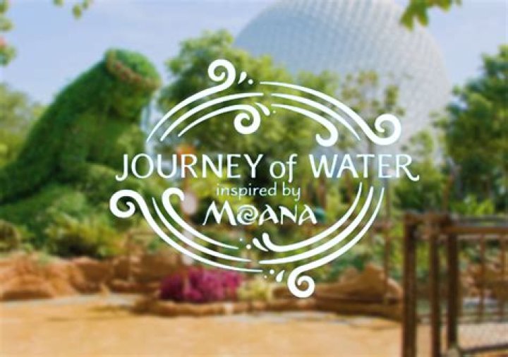 A Dancer's Journey Of Discovery