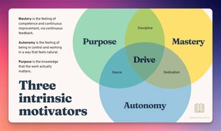A Journey Of Experience And Mastery