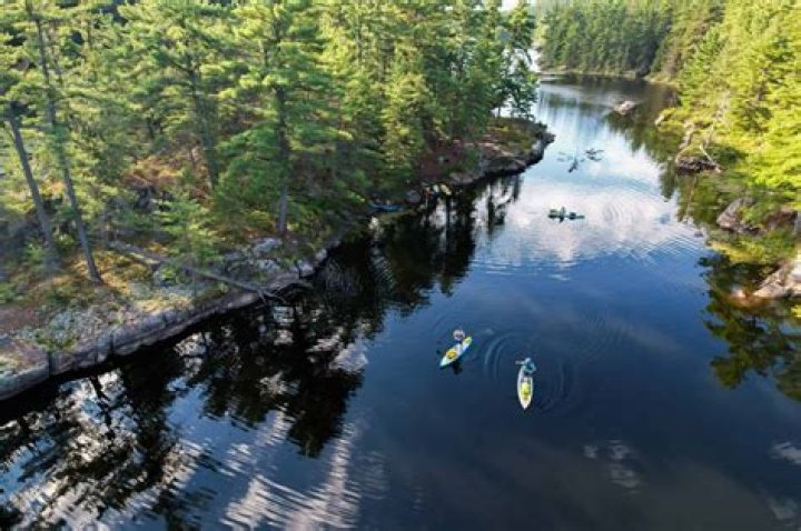 A Journey Of Nature, Immersion, And Reflection