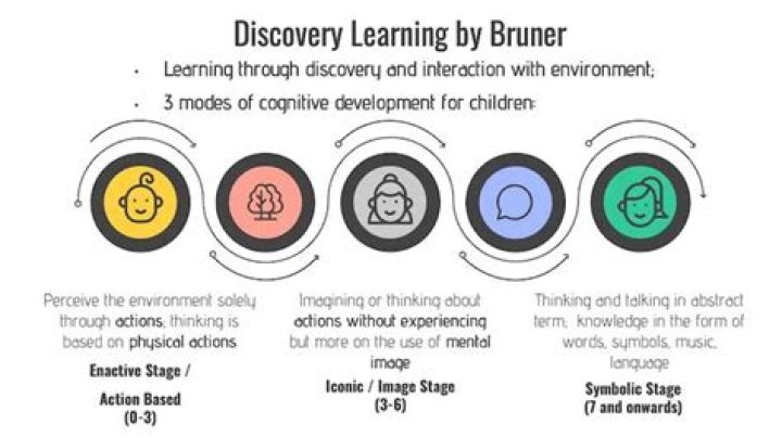 A Journey Of Representation And Discovery
