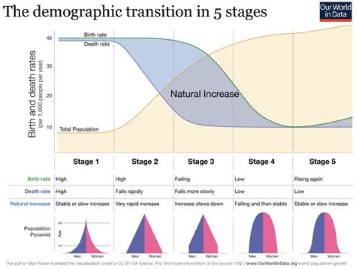 Age, Transition, And Future Prospects