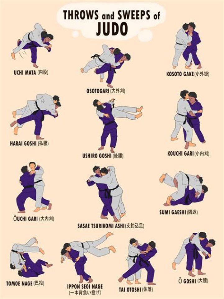 An In-Depth Analysis Of His BJJ Record