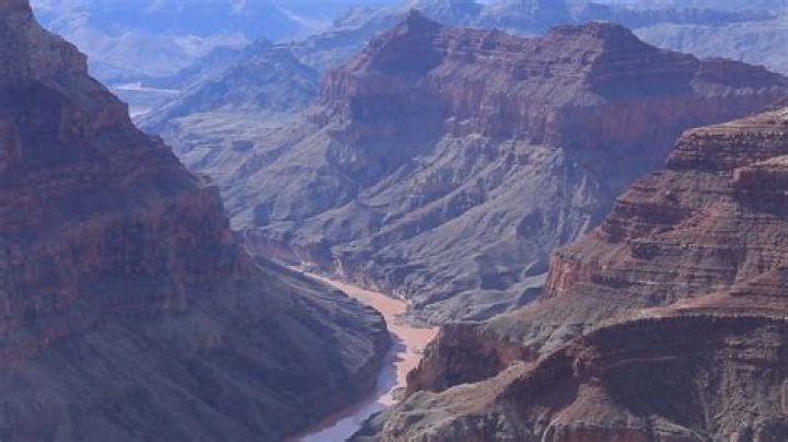 Ancestry, Culture, And Social Impact