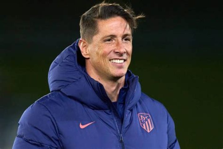 Discover The Untold Story Of Fernando Torres: A Wiki Odyssey