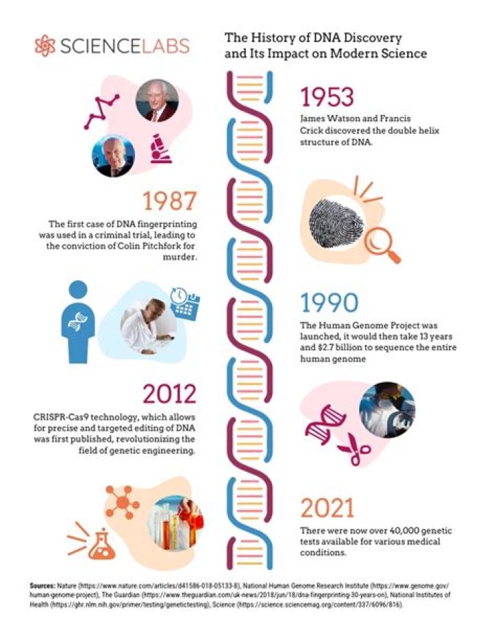 Discoveries And Insights For The Health-Conscious