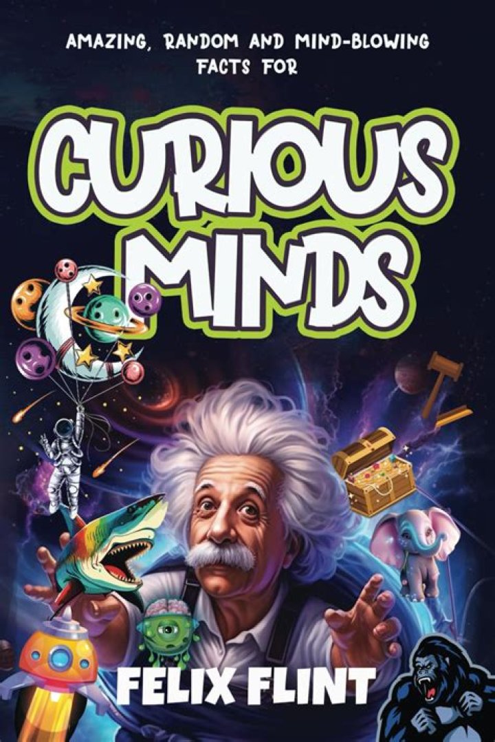 Insights And Discoveries For The Curious Mind
