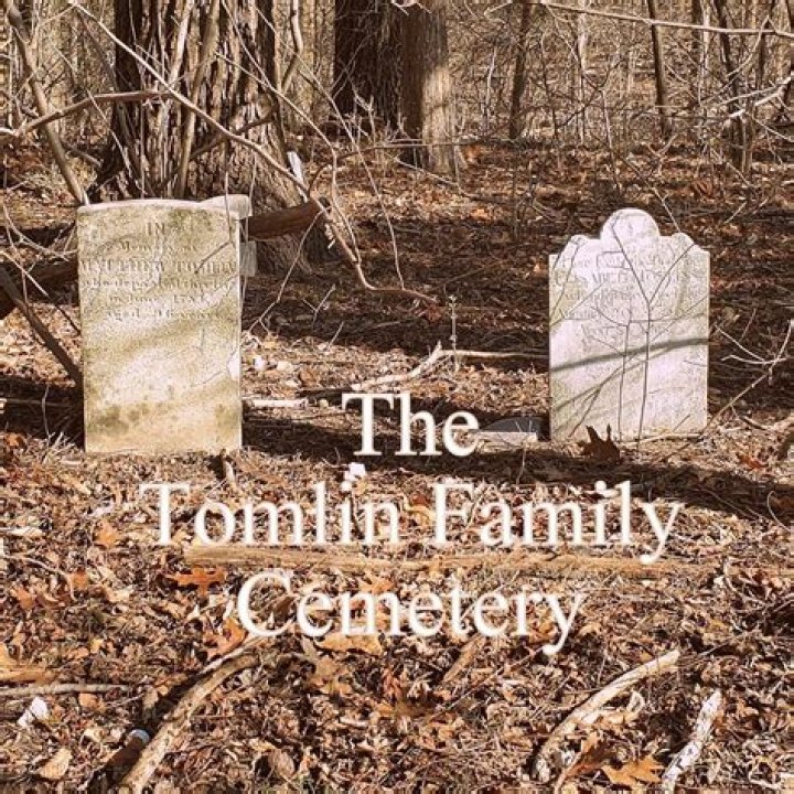 Uncover The Tomlin Family's Impact On Lily's Life And Art