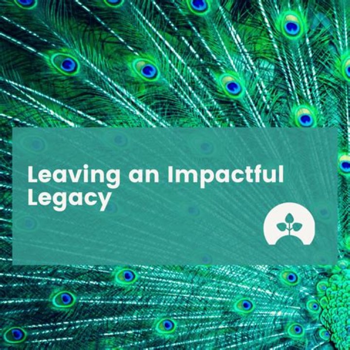 Uncovering Her Impactful Legacy And Social Advocacy