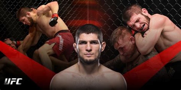 Unleashing The Secrets Of Khabib Nurmagomedov's Undefeated Fighting Style