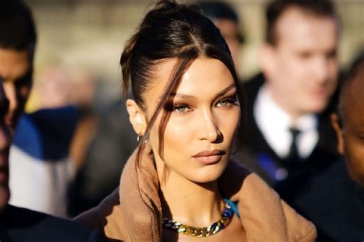 Unveiling Bella Hadid's Activism: Discoveries And Insights