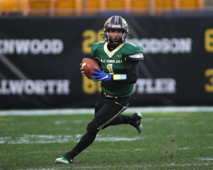 Unveiling Vernon Whitlock Jr.: Strategies And Triumphs